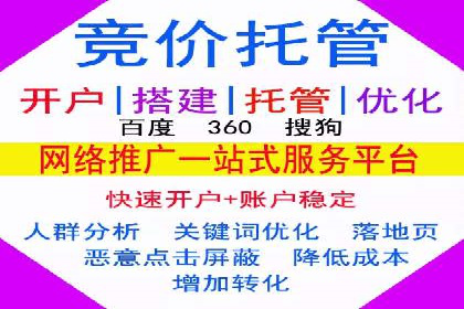 某科技公司SEM策略调整，实现业务快速增长